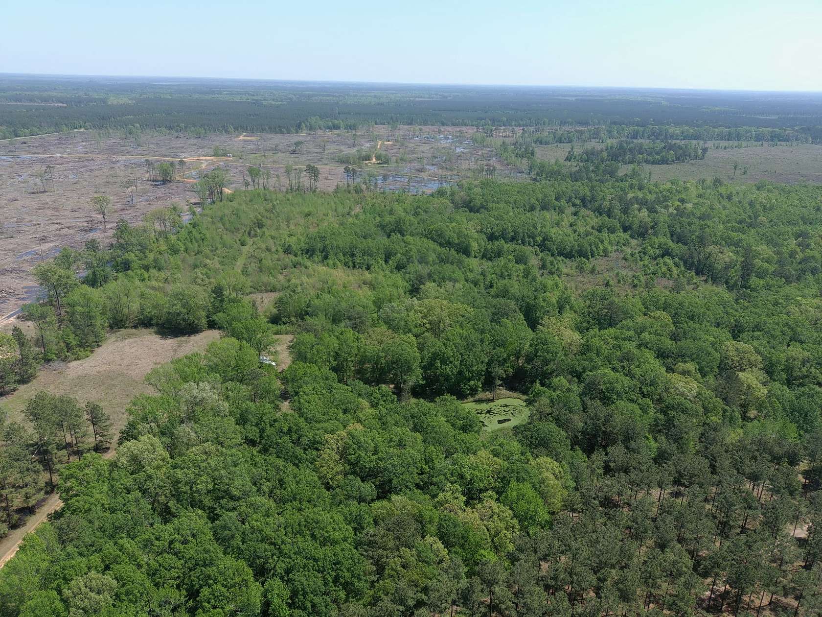 40 Acres of Recreational Land for Sale in Bradley, Arkansas