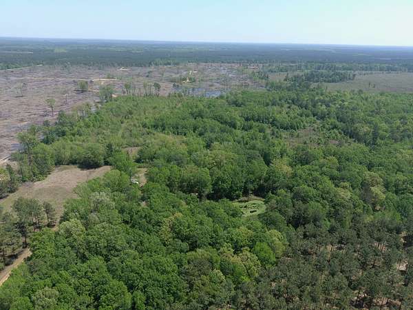 40 Acres of Recreational Land for Sale in Bradley, Arkansas