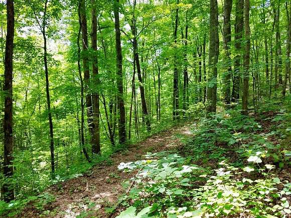 12 Acres of Land for Sale in Bryson City, North Carolina