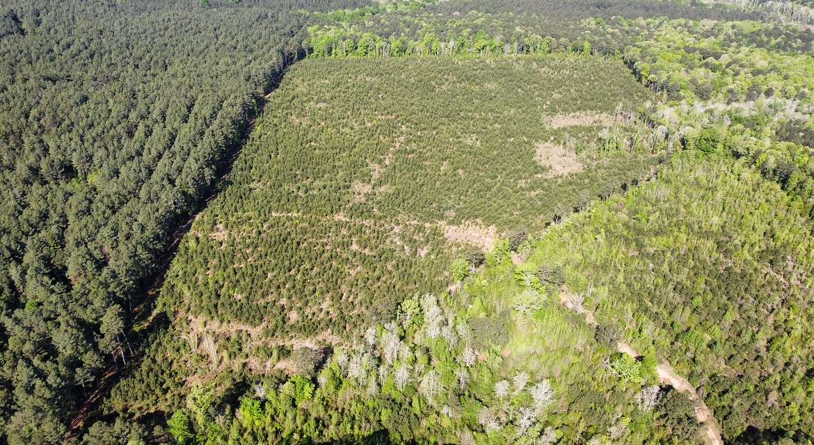 40 Acres of Recreational Land & Farm for Sale in Eros, Louisiana