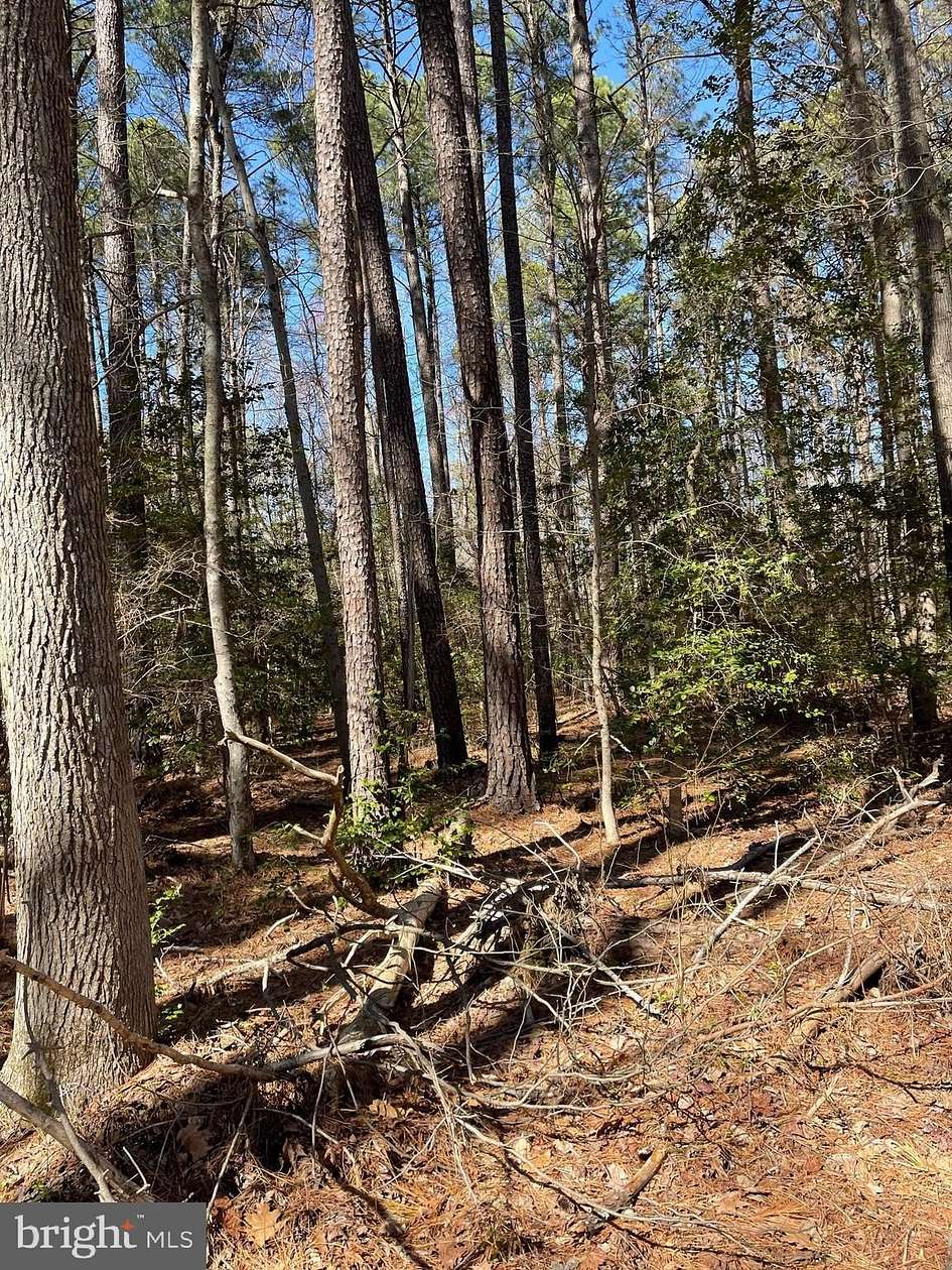 0.46 Acres of Residential Land for Sale in Nanjemoy, Maryland