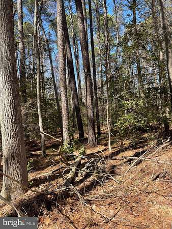 0.46 Acres of Residential Land for Sale in Nanjemoy, Maryland