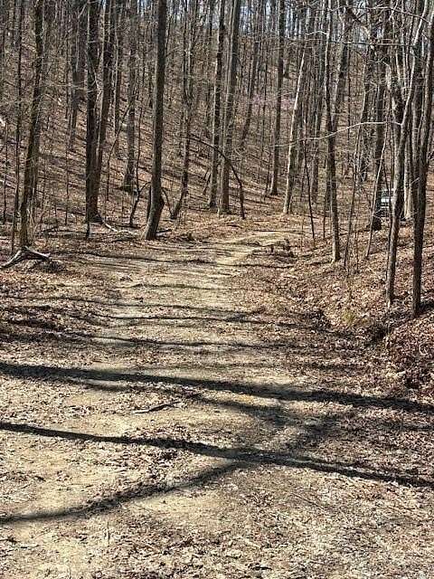 1.57 Acres of Land for Sale in Ranger, Georgia