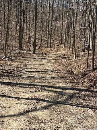 1.57 Acres of Land for Sale in Ranger, Georgia