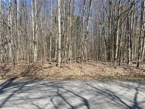 0.24 Acres of Residential Land for Sale in Roaming Shores, Ohio