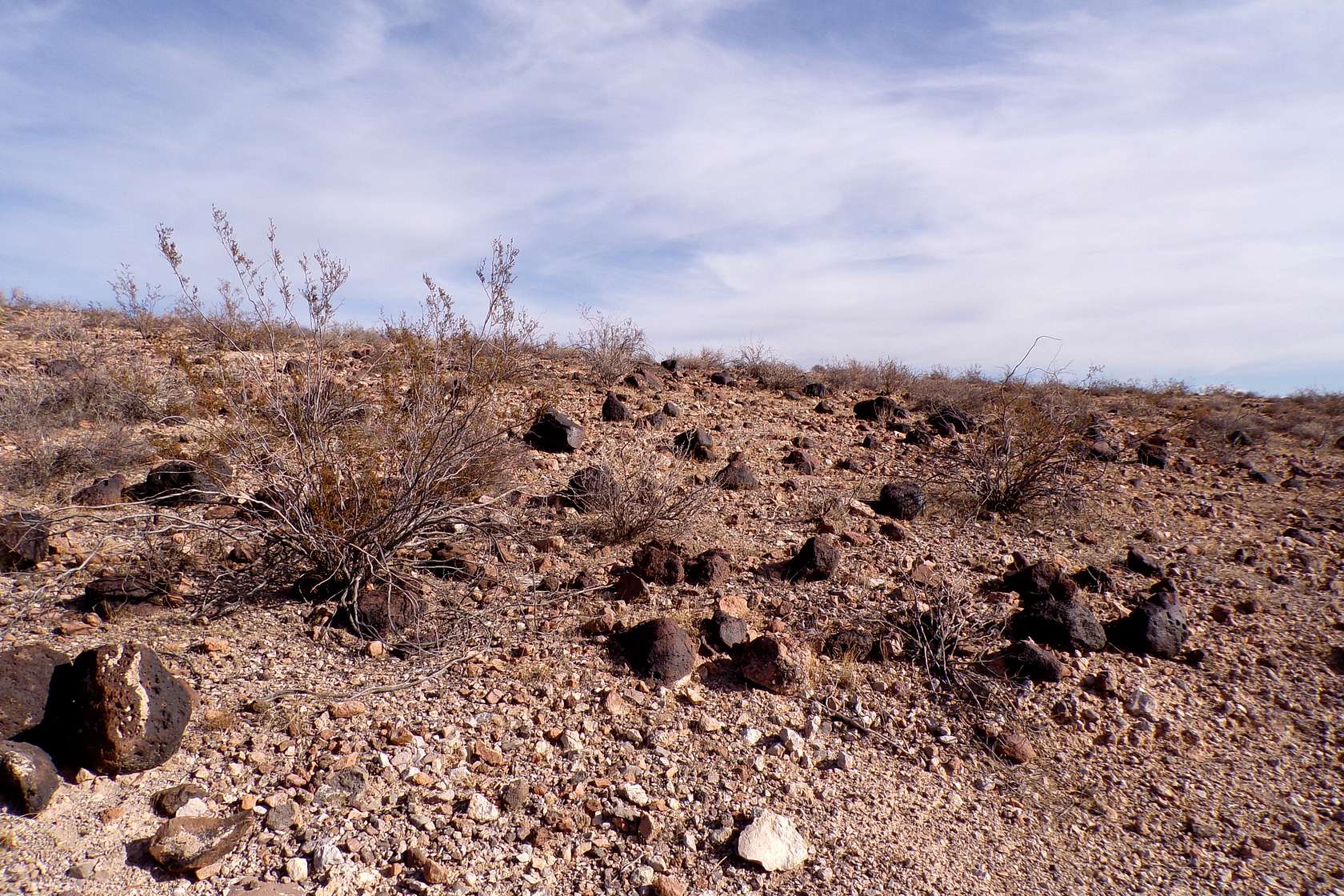 1 Acre of Residential Land for Sale in Yucca, Arizona