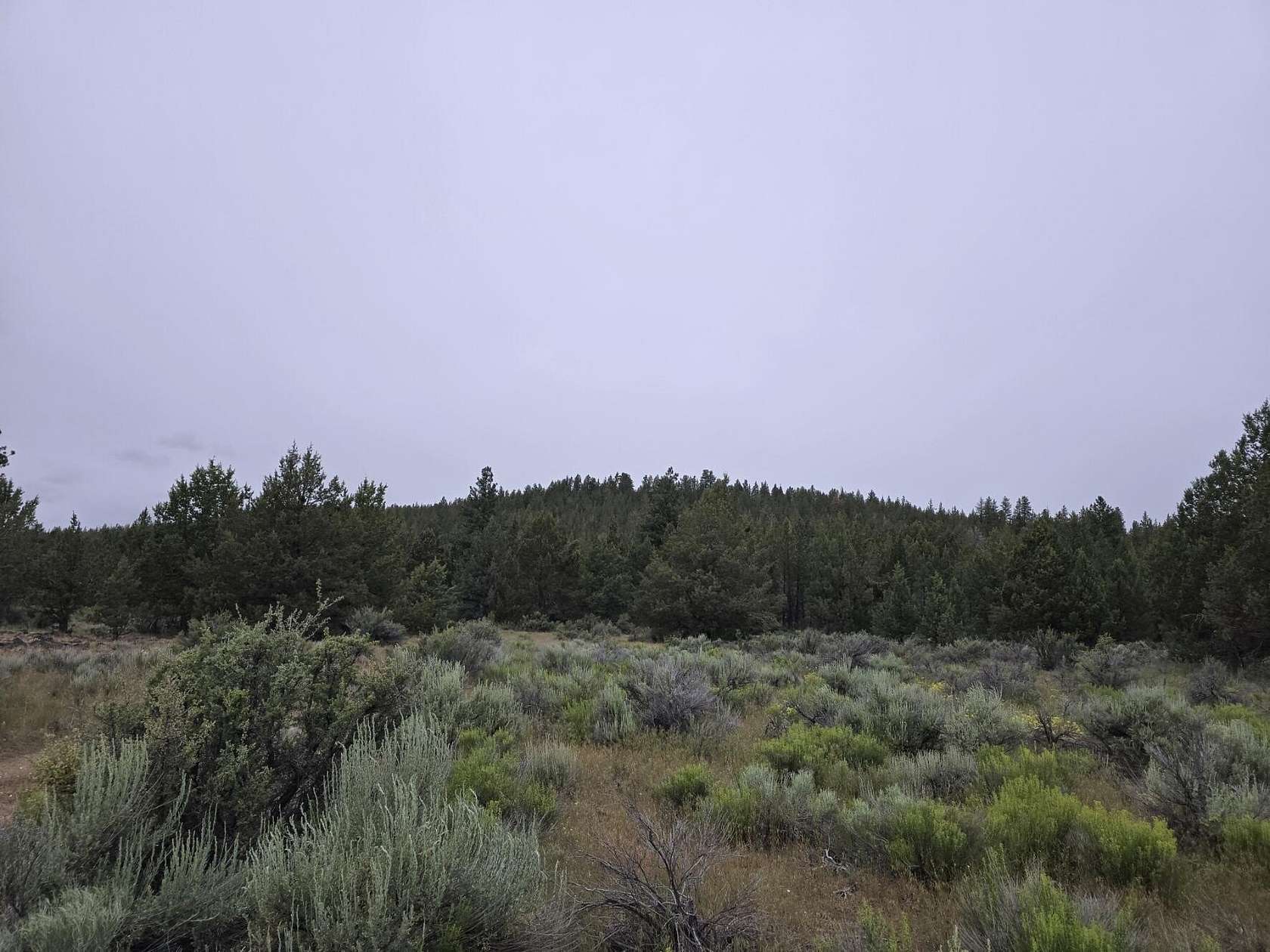 80 Acres of Recreational Land for Sale in Sprague River, Oregon