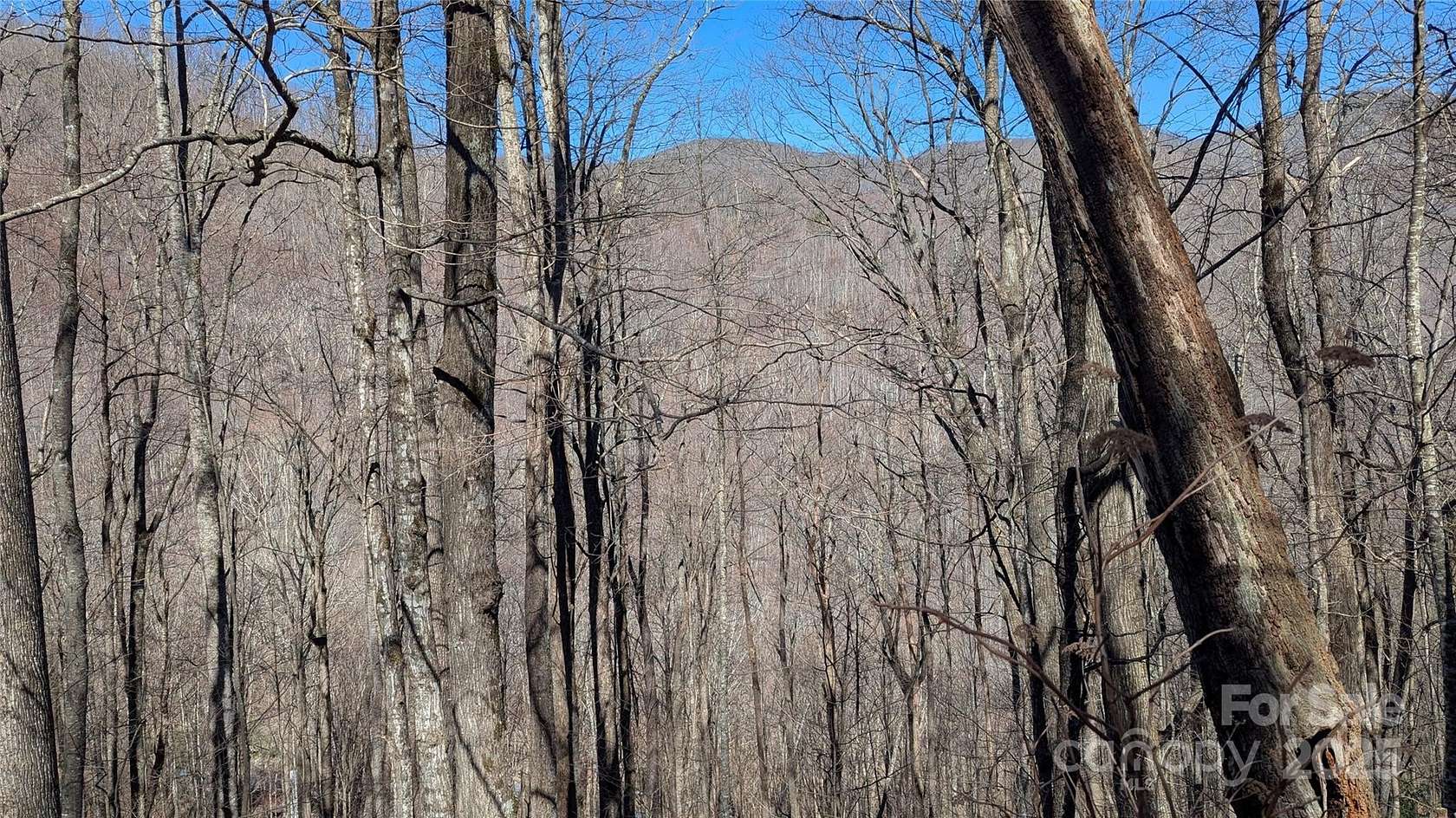 1.73 Acres of Residential Land for Sale in Waynesville, North Carolina