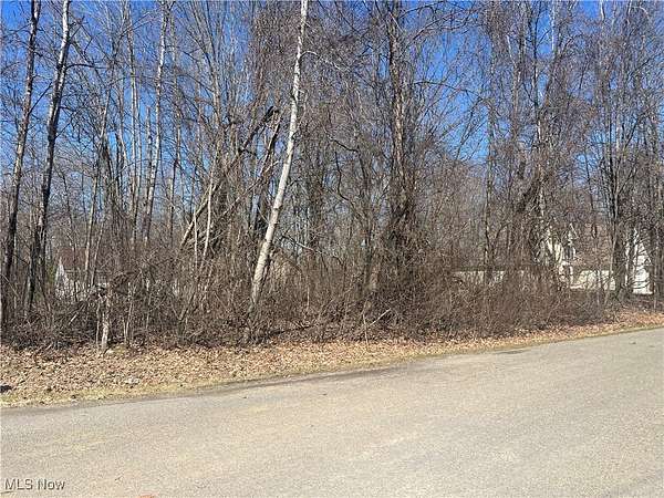 0.23 Acres of Residential Land for Sale in Roaming Shores, Ohio