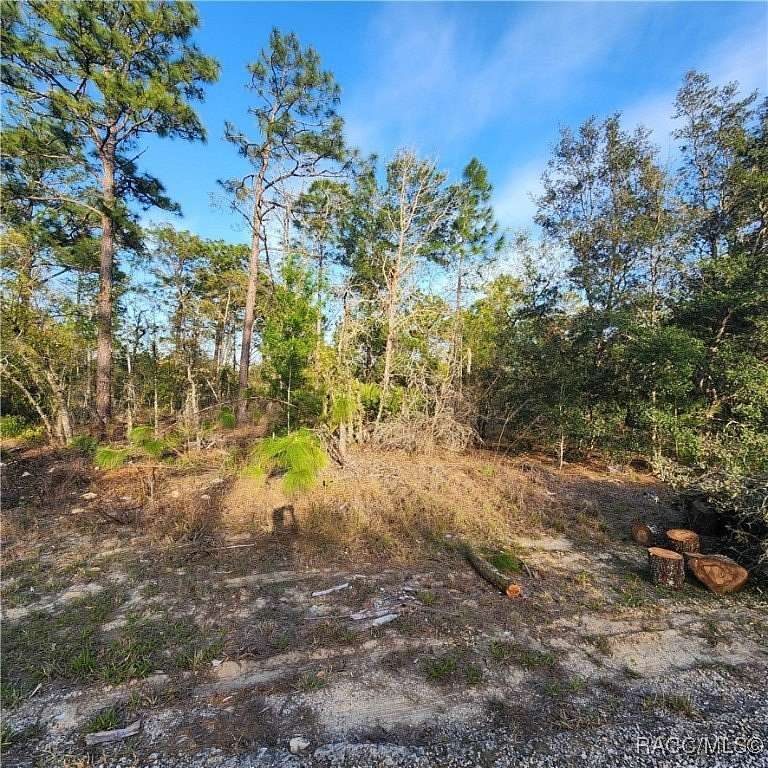 0.23 Acres of Residential Land for Sale in Dunnellon, Florida