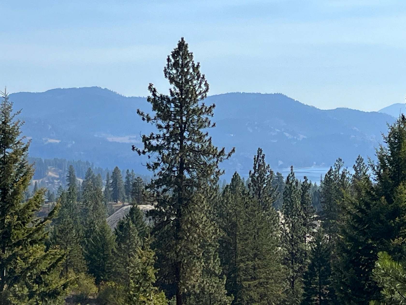 20 Acres of Recreational Land for Sale in Kettle Falls, Washington