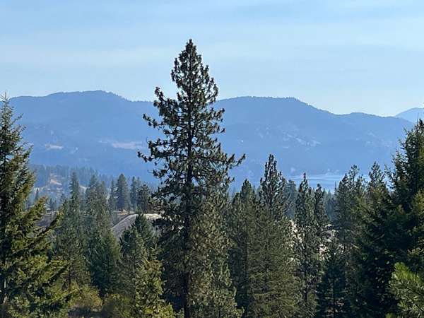 20 Acres of Recreational Land for Sale in Kettle Falls, Washington