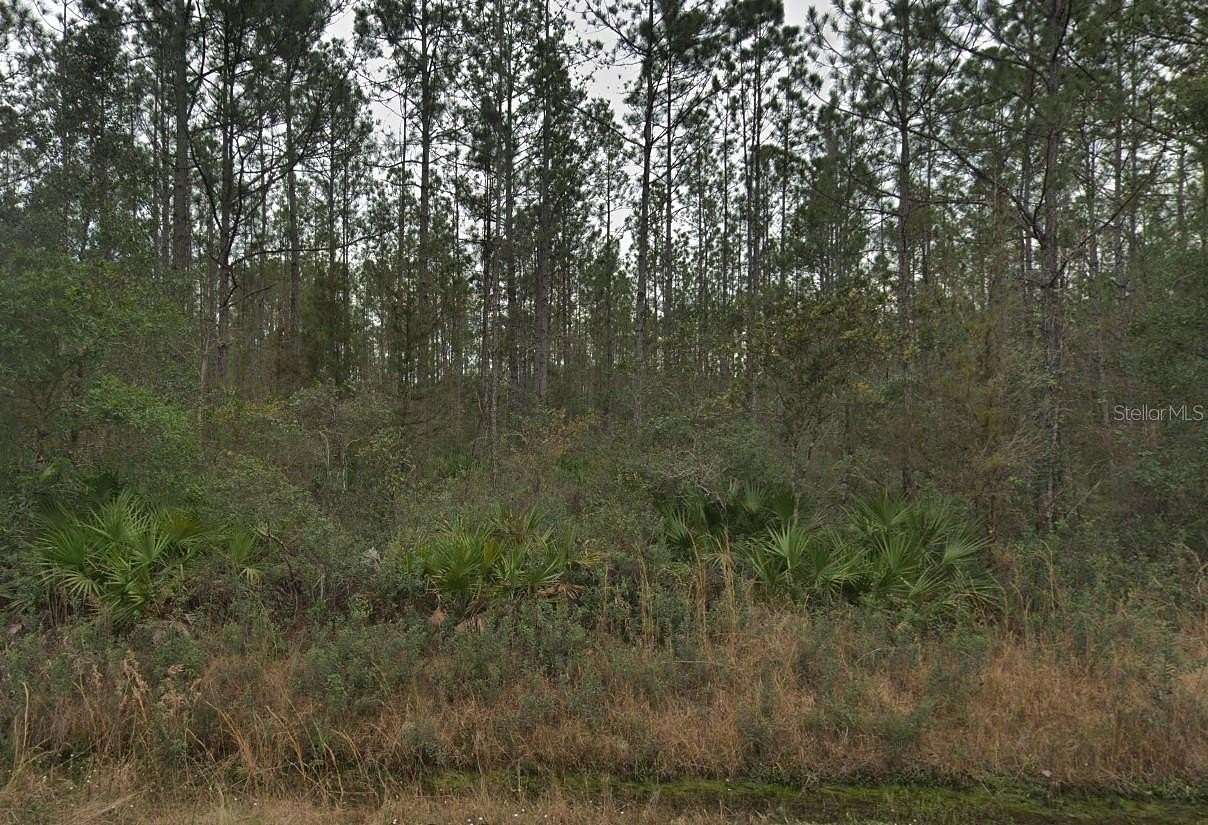 1.14 Acres of Residential Land for Sale in Hastings, Florida