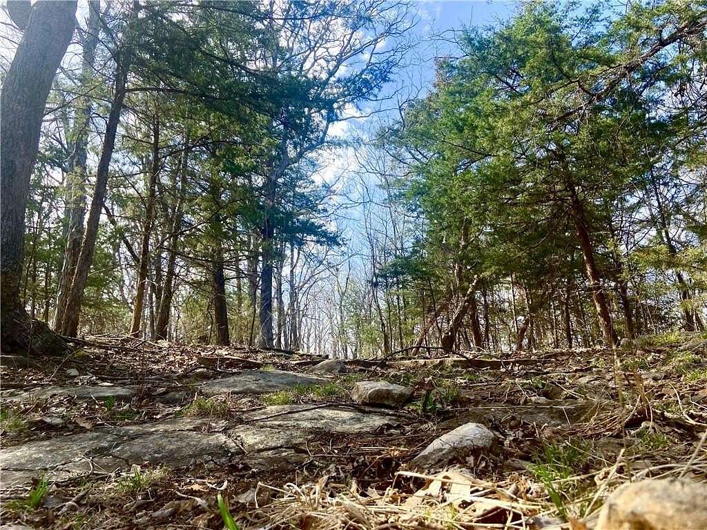 30.2 Acres of Land for Sale in Lowry City, Missouri