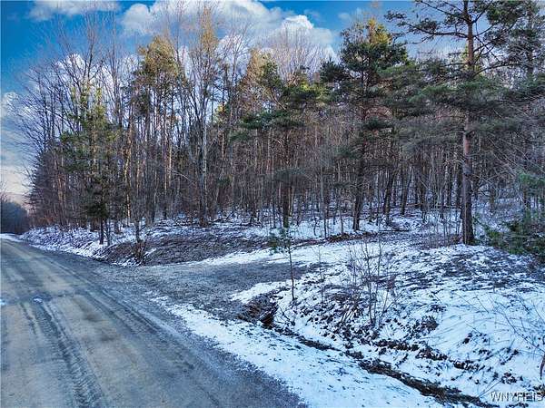 10.5 Acres of Land for Sale in Ellicottville, New York