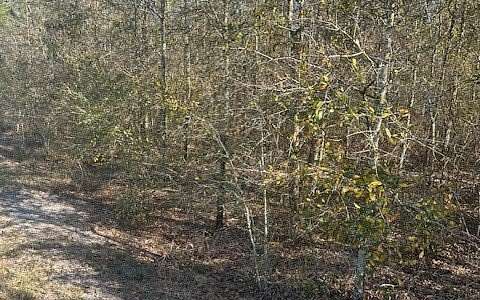 41 Acres of Land for Sale in Lee, Florida