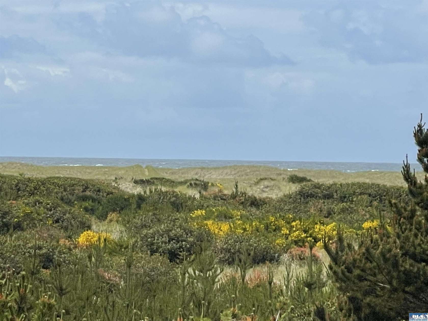 0.25 Acres of Residential Land for Sale in Ocean Shores, Washington