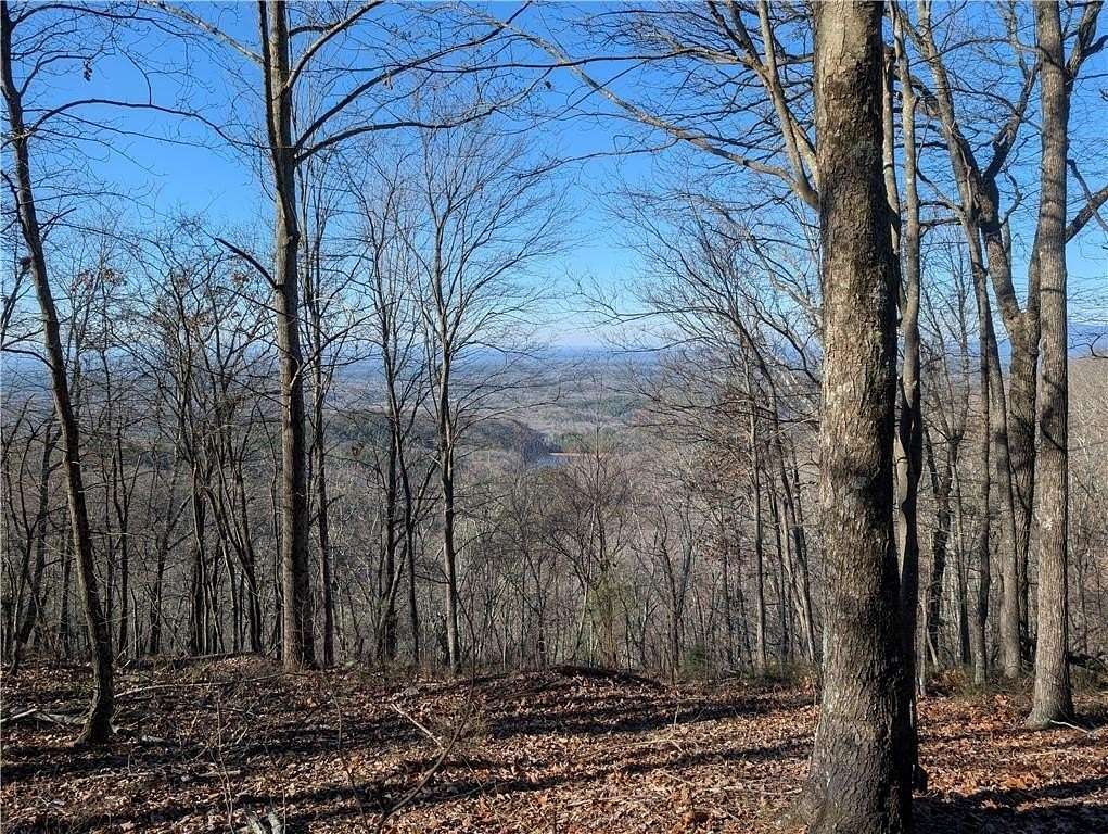 1.16 Acres of Residential Land for Sale in Ranger, Georgia