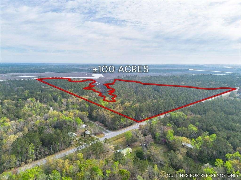 100 Acres of Recreational Land for Sale in Waverly, Georgia