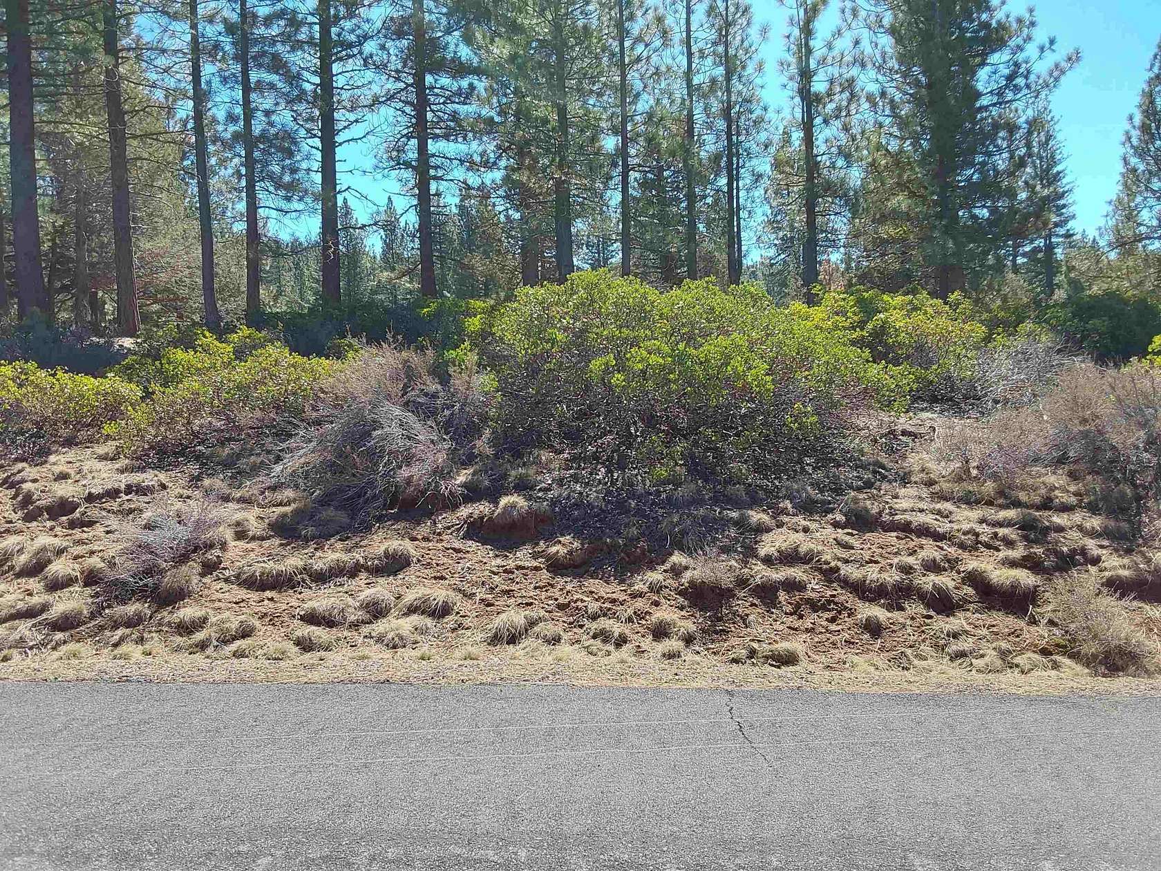 0.78 Acres of Mixed-Use Land for Sale in Portola, California