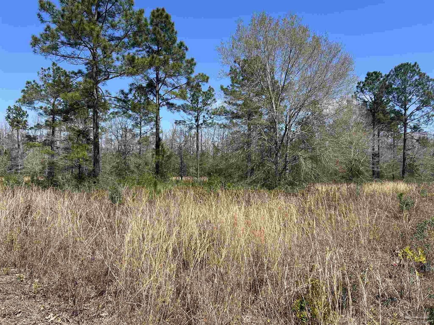 5.2 Acres of Residential Land for Sale in Pace, Florida