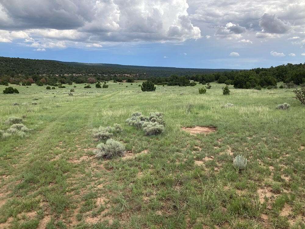 3.38 Acres of Land for Sale in Rowe, New Mexico