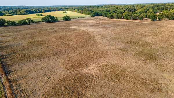 44.5 Acres of Mixed-Use Land for Sale in Bullard, Texas