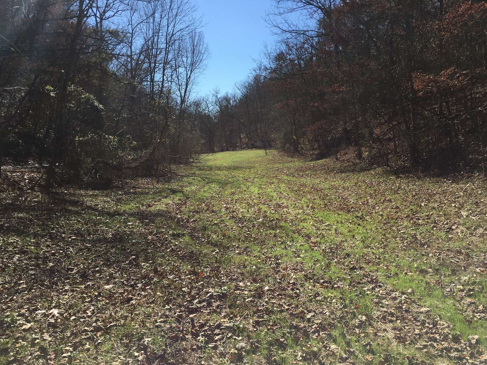 45.5 Acres of Recreational Land for Sale in Piney Flats, Tennessee