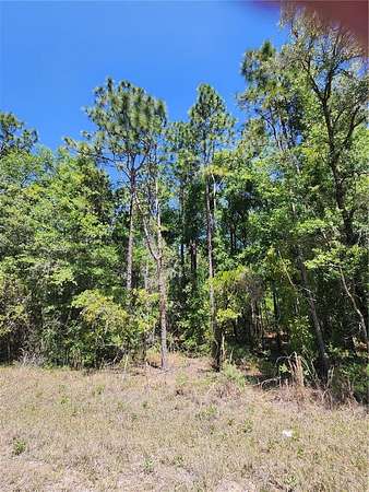 1.14 Acres of Residential Land for Sale in Ocala, Florida