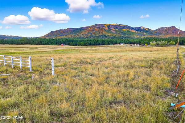 15.2 Acres of Recreational Land for Sale in Alpine, Arizona