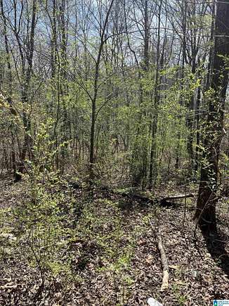 7.5 Acres of Residential Land for Sale in Pell City, Alabama