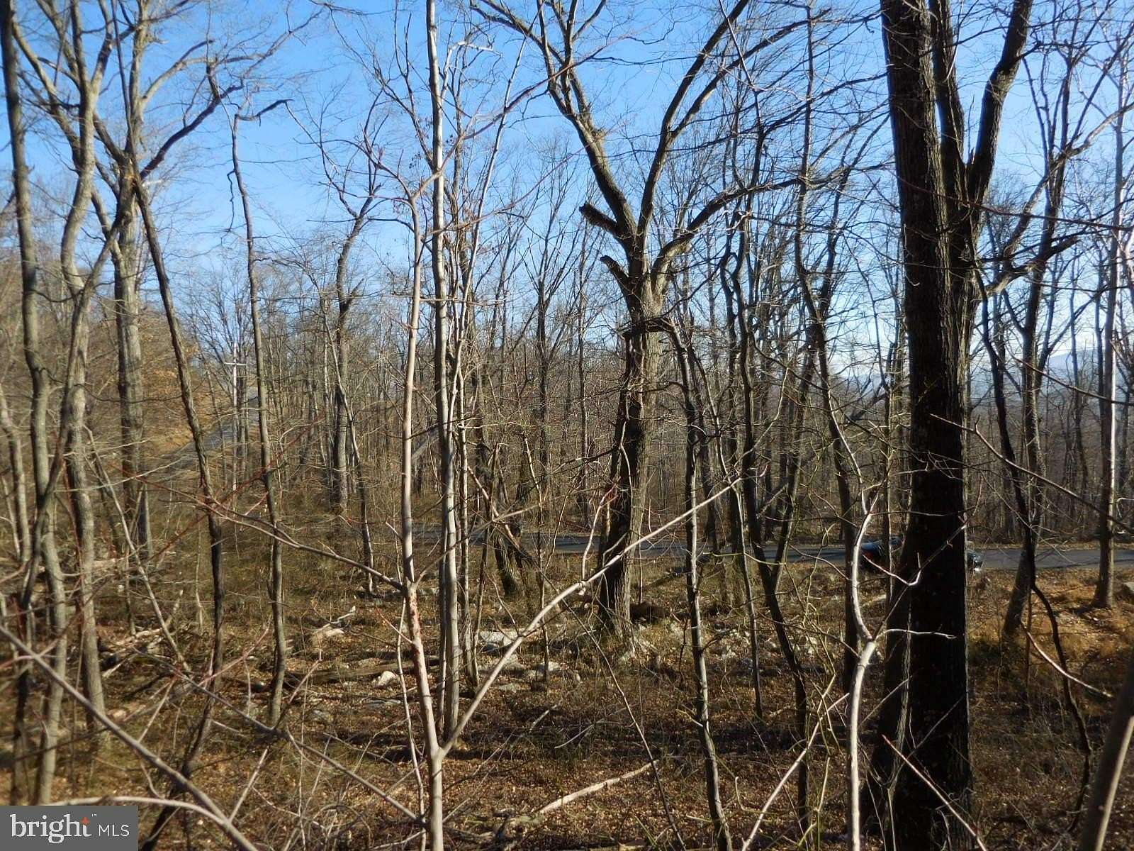 60 Acres of Recreational Land for Sale in Winchester, Virginia