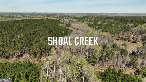 435 Acres of Recreational Land for Sale in LaGrange, Georgia