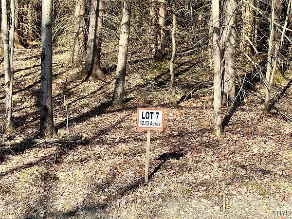 12.1 Acres of Recreational Land for Sale in Windsor, New York