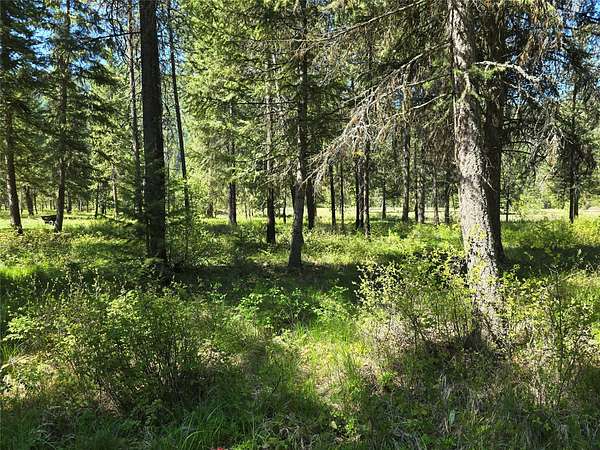 0.46 Acres of Residential Land for Sale in St. Regis, Montana