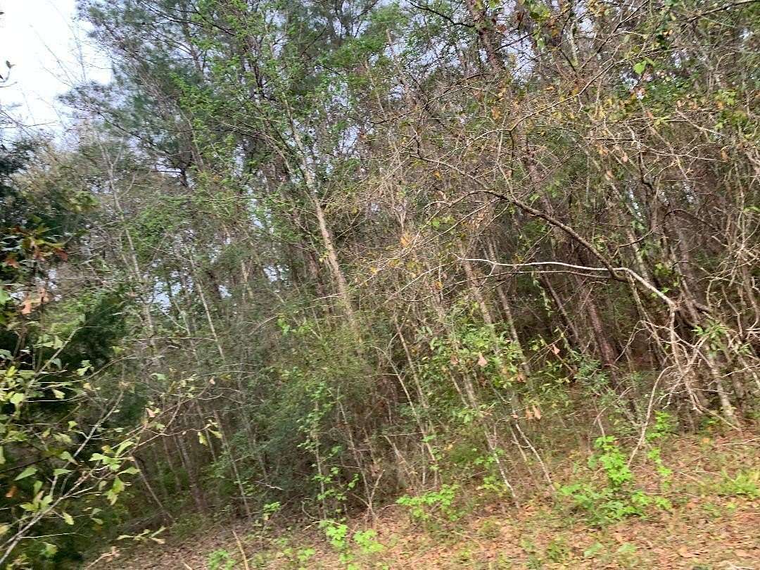 20 Acres of Agricultural & Residential Land for Sale in Caryville, Florida