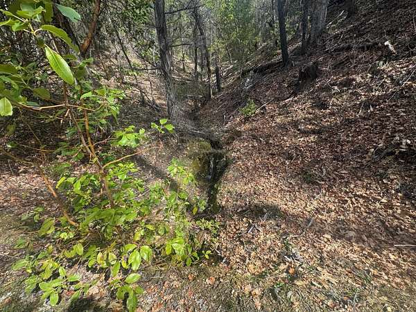 122 Acres of Recreational Land for Sale in Happy Camp, California