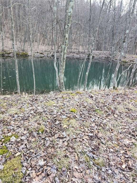 31.5 Acres of Recreational Land for Sale in Coalport, Pennsylvania