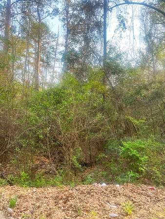 0.63 Acres of Land for Sale in Phenix City, Alabama