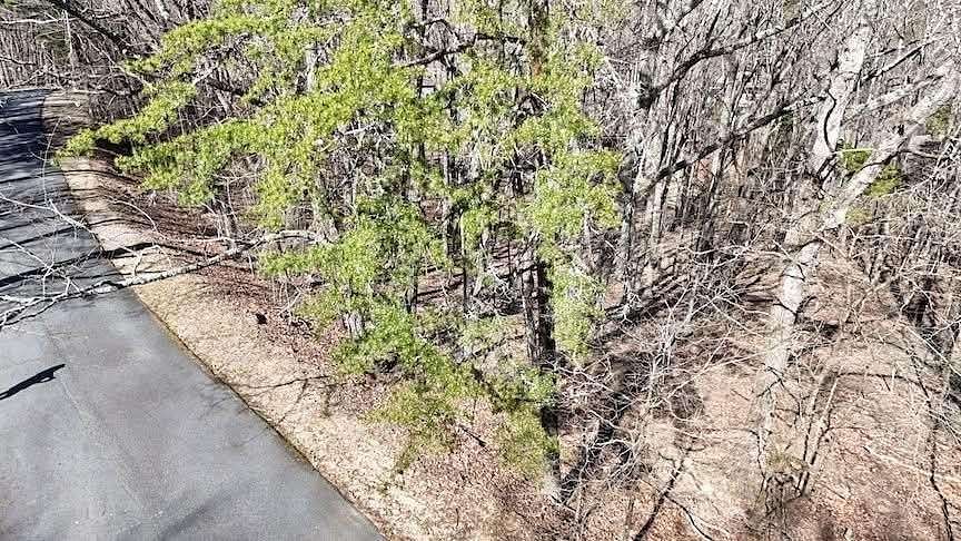 0.44 Acres of Residential Land for Sale in Waleska, Georgia