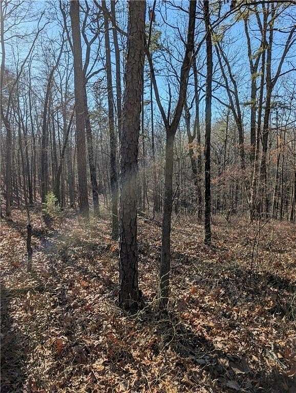 1.19 Acres of Residential Land for Sale in Ranger, Georgia