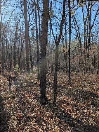 1.19 Acres of Residential Land for Sale in Ranger, Georgia