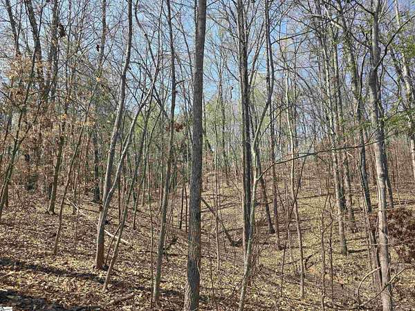 4 Acres of Residential Land for Sale in Seneca, South Carolina