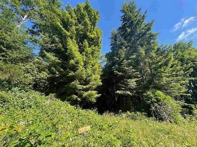 1 Acre of Residential Land for Sale in Crescent City, California