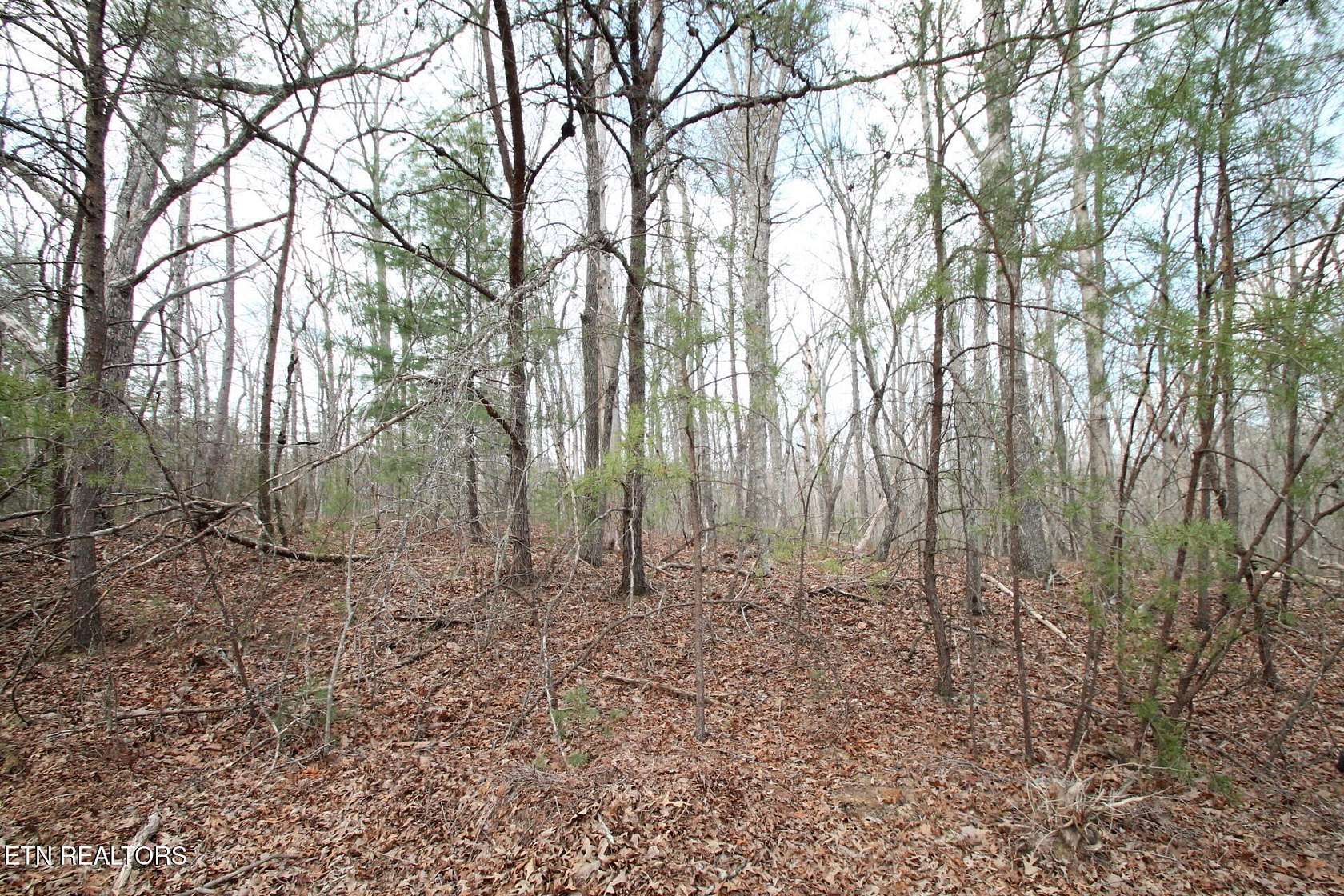 0.25 Acres of Land for Sale in Fairfield Glade, Tennessee