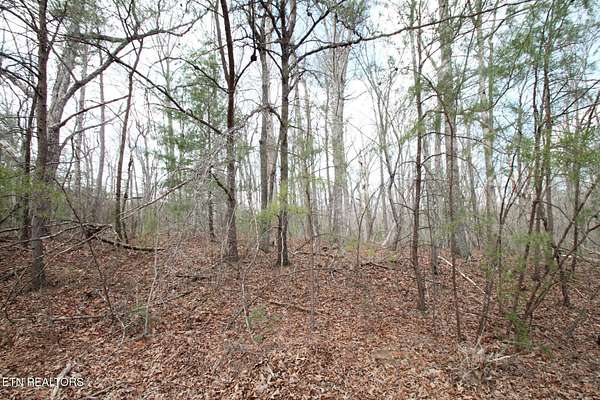 0.25 Acres of Land for Sale in Fairfield Glade, Tennessee