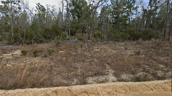 0.11 Acres of Residential Land for Sale in Interlachen, Florida