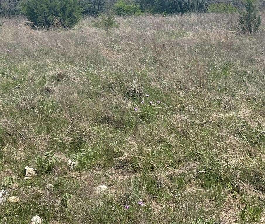 60 Acres of Recreational Land for Sale in Wolfe City, Texas