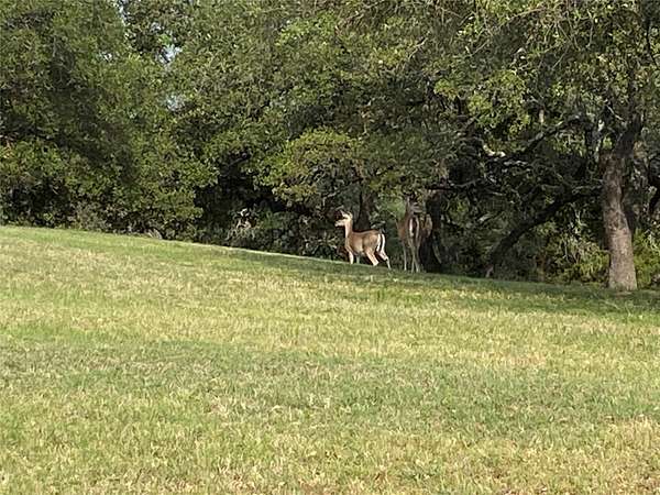 0.37 Acres of Residential Land for Sale in Whitney, Texas