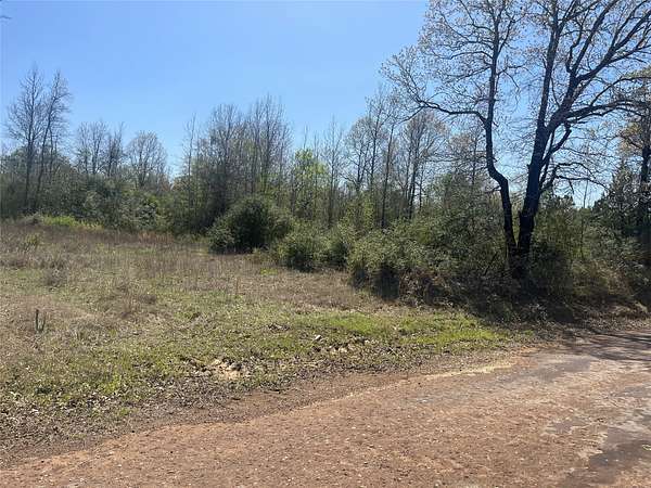 93 Acres of Recreational Land for Sale in Centerville, Texas
